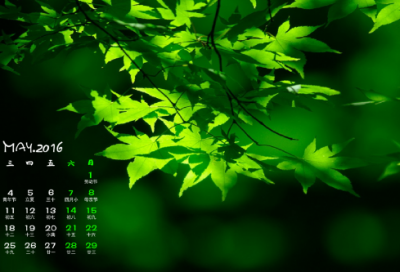 ​三八妇女节祝福语简短(优秀59句)
