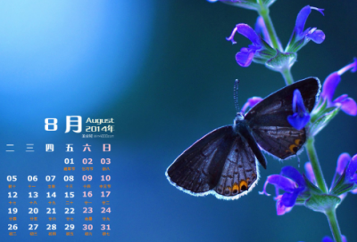 ​关于元旦跨年秒赞文案说说(精选90句)