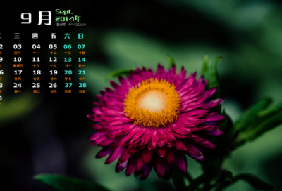 ​2023年春节祝福语个性签名说说朋友圈文案（100句）