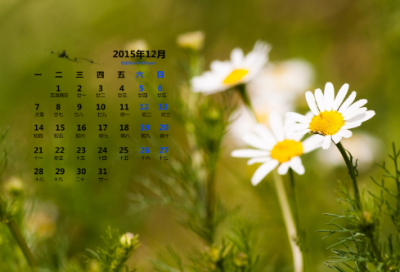 ​2023年春节祝福语个性签名说说（100句）