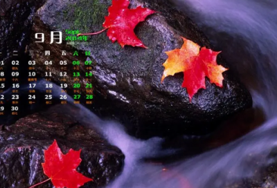 ​一夜无眠的伤感语录-52句