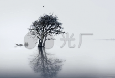 ​破茧成蝶激励名句蜕变 破茧成蝶激励名句(精选14句)