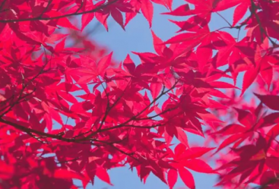 ​有关珍惜时间的格言