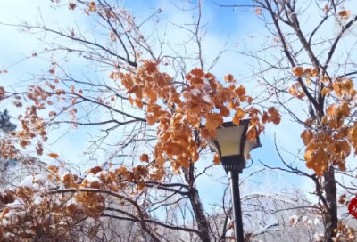 ​毛泽东箴言