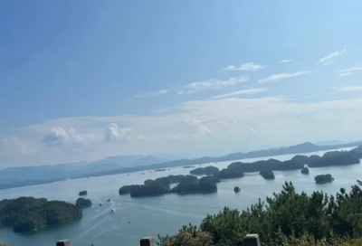 ​有关天才的名言