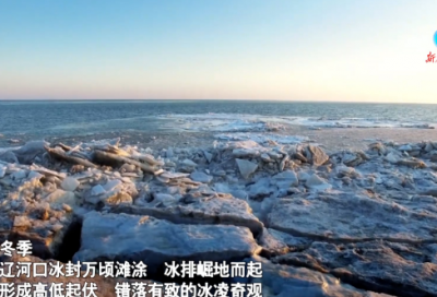 ​卡耐基名言