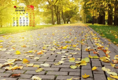 ​2024最新幽默笑话句子