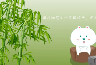 ​不讲“人情味”的荷兰人