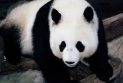 ​让人流泪的经典台词