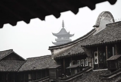 ​楚雨荨经典台词