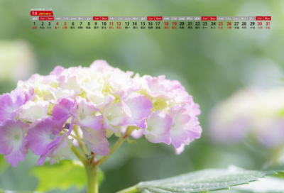 ​关于鱼字的古诗句