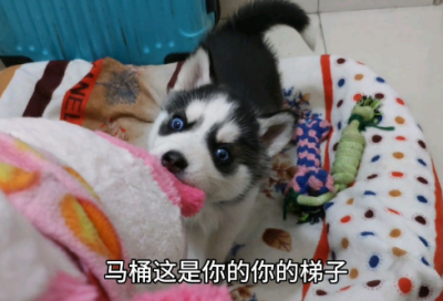 ​回忆曾经爱情的句子