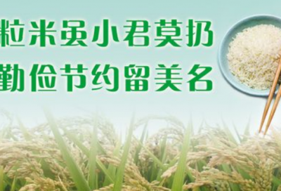 ​关于柠檬的网名(优选71个)