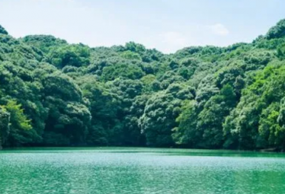 ​适合冬至的网名伤感唯美大全(共67个)