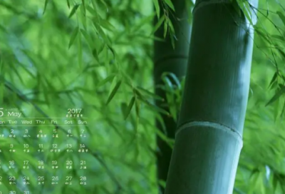 ​欧美小清新网名(69个)